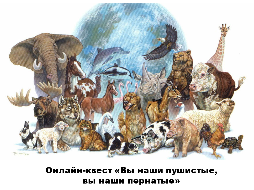 pushistiki